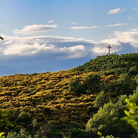 San Bartolo 住宿加早餐酒店 佩萨罗