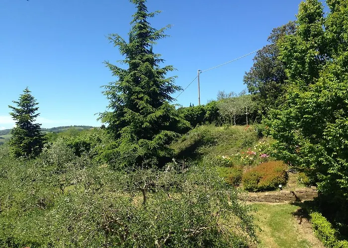 San Bartolo 佩萨罗