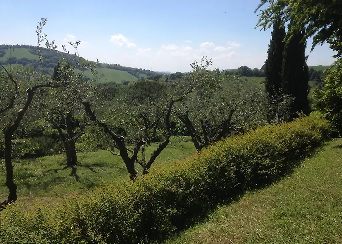 San Bartolo 住宿加早餐酒店 *